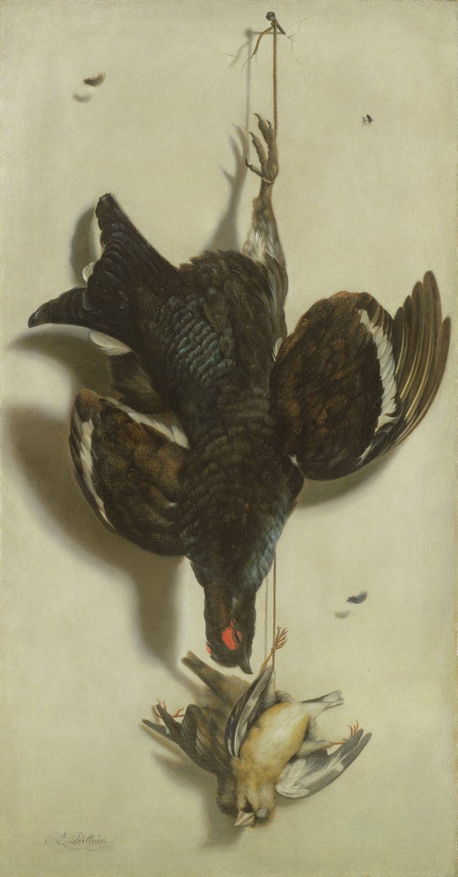 Kara orman tavuğu ve ispinozların trompe loeil by Jacobus Biltius