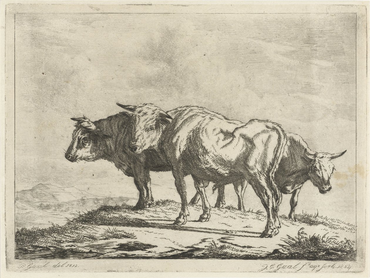 üç öküz by Jacobus Cornelis Gaal