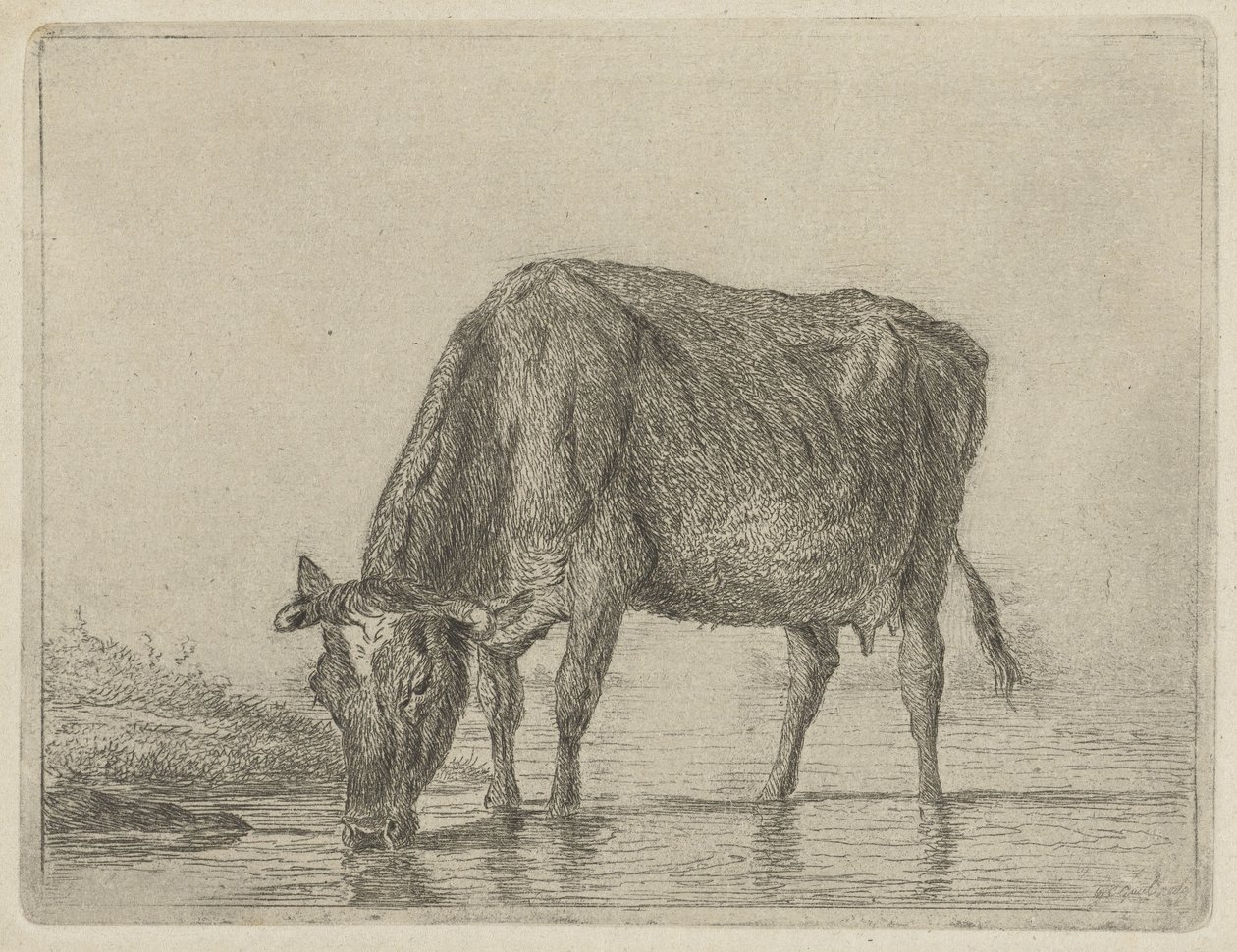 içme ineği by Jacobus Cornelis Gaal