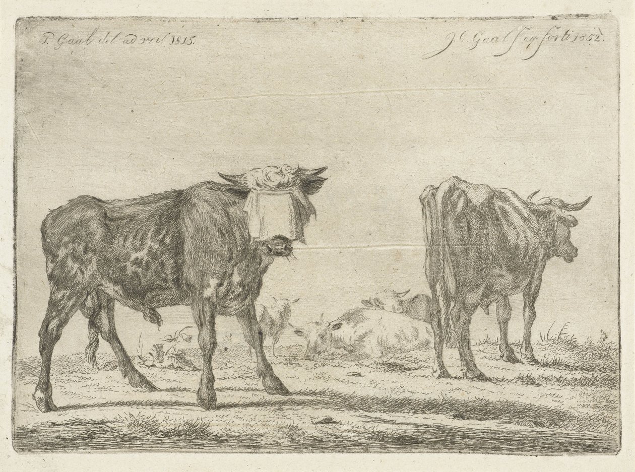 Sığır sürüsü ile gözleri bağlı boğa by Jacobus Cornelis Gaal