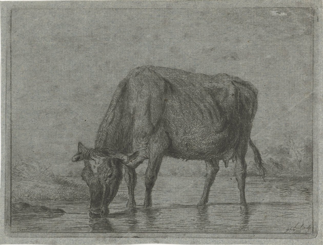 Su birikintisinden su içen inek by Jacobus Cornelis Gaal