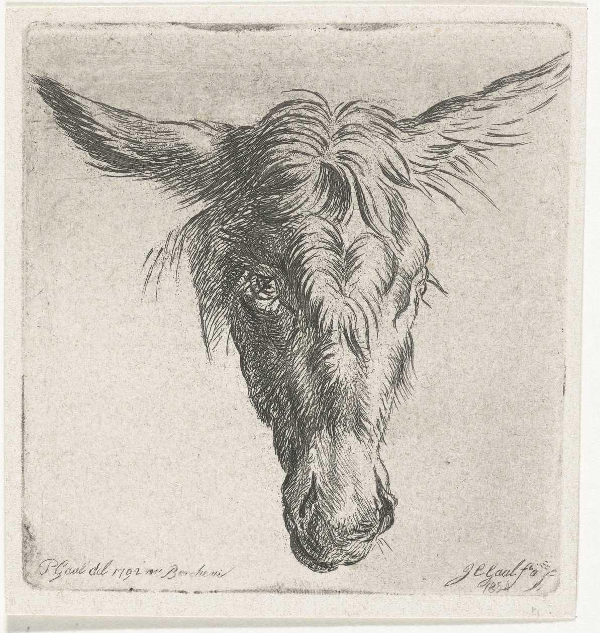 bir eşek başkanı by Jacobus Cornelis Gaal
