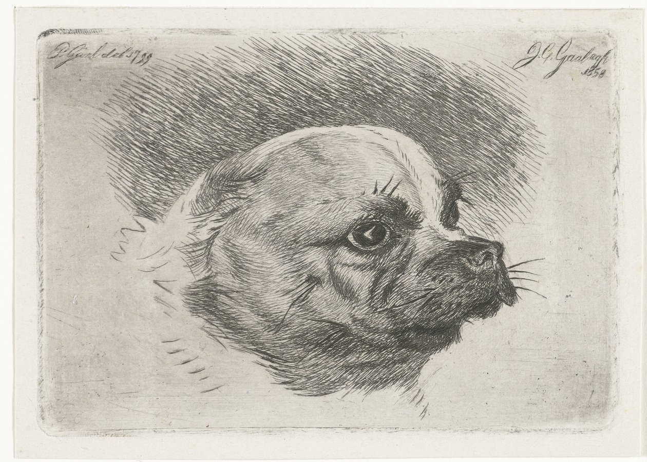 Bir pug başkanı by Jacobus Cornelis Gaal