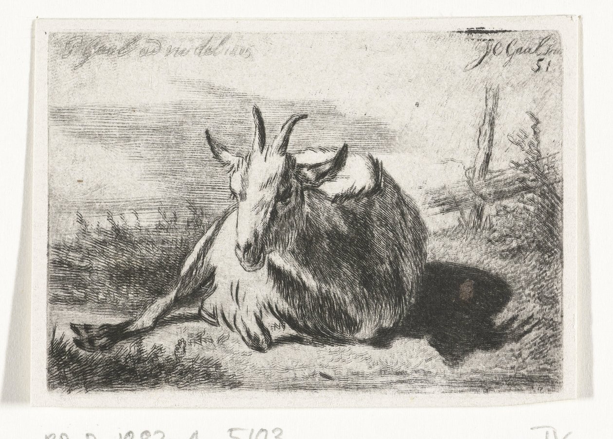 Yalancı keçi, sola by Jacobus Cornelis Gaal