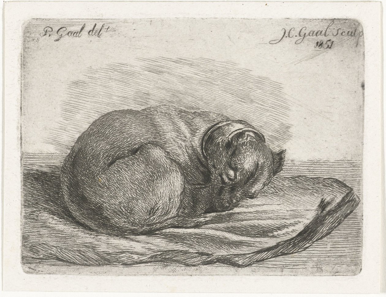 Uyuyan köpek, battaniyenin üzerinde yatıyor by Jacobus Cornelis Gaal