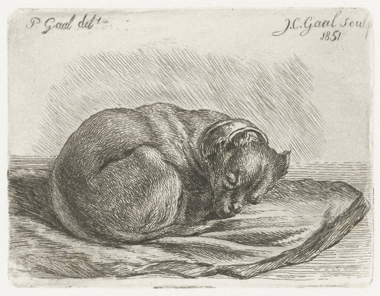 Uyuyan köpek, battaniyenin üzerinde yatıyor by Jacobus Cornelis Gaal