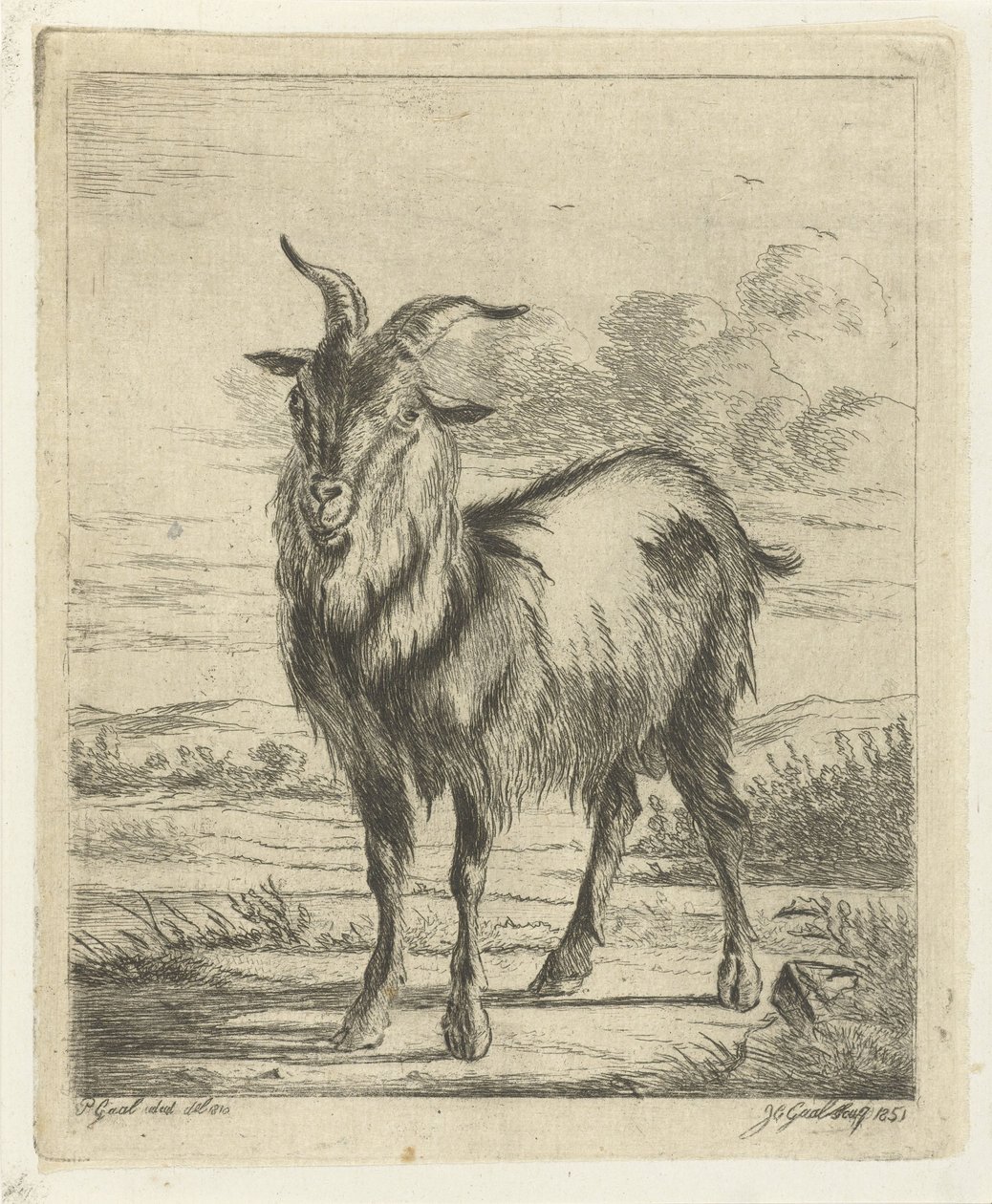 ayakta keçi by Jacobus Cornelis Gaal