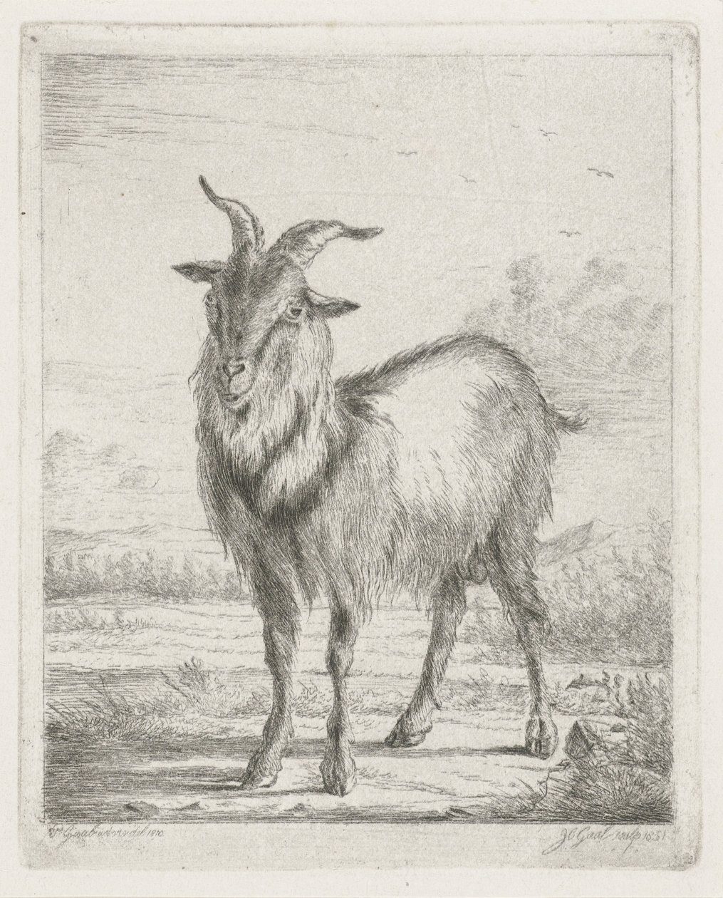 ayakta keçi by Jacobus Cornelis Gaal