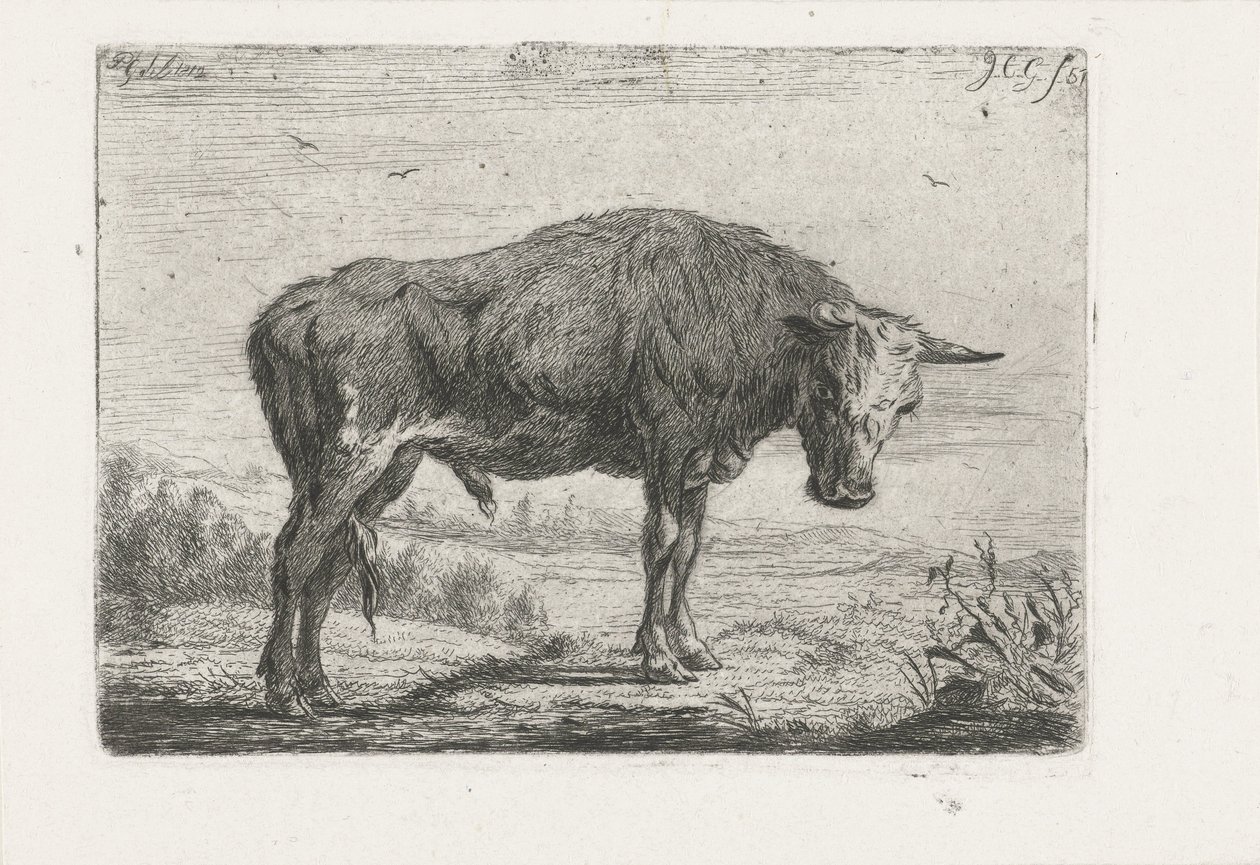 duran boğa by Jacobus Cornelis Gaal