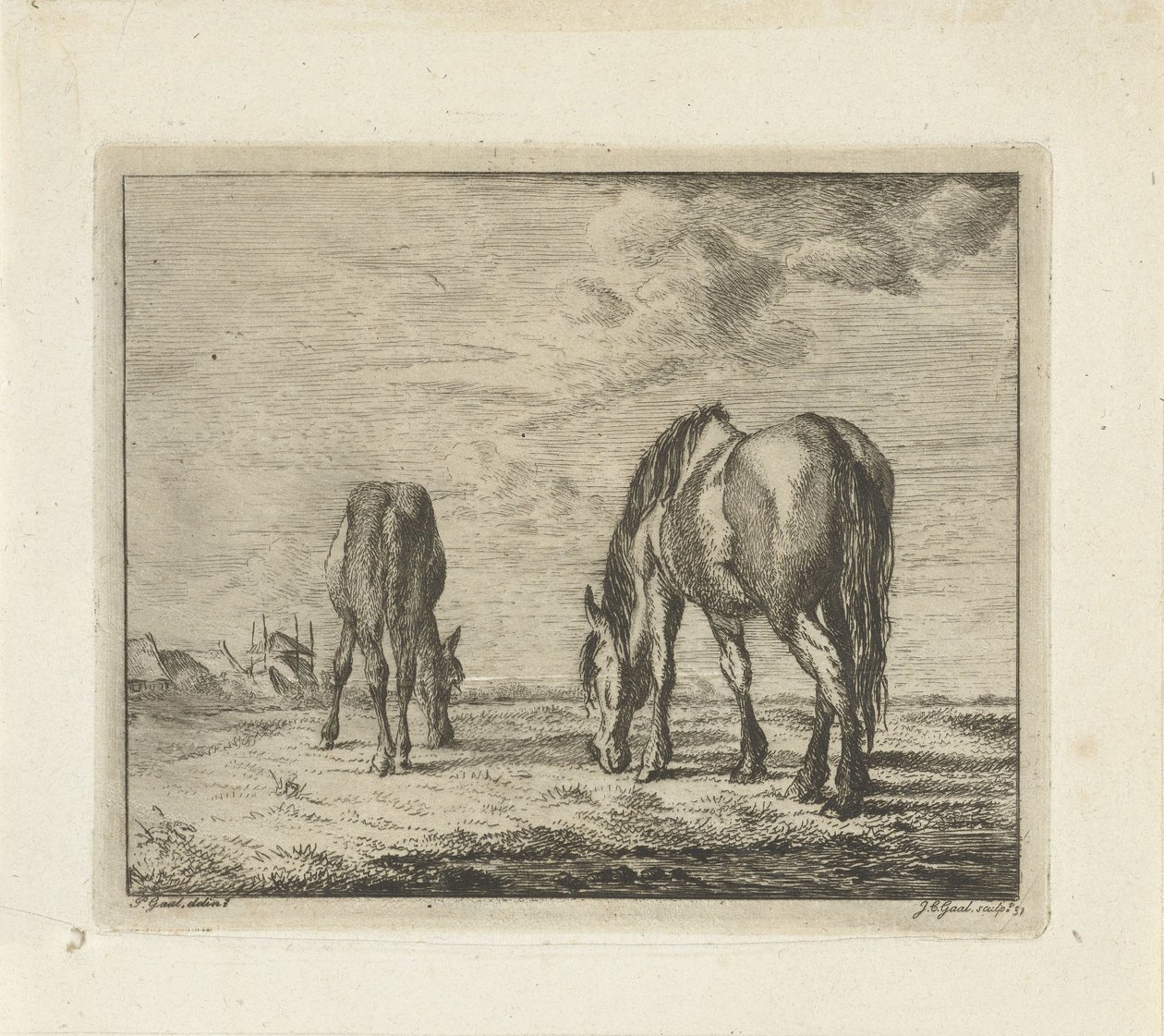 iki otlayan at by Jacobus Cornelis Gaal