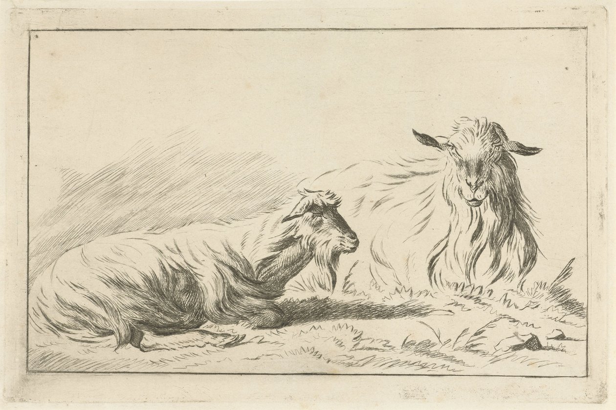 iki yalancı keçi by Jacobus Cornelis Gaal