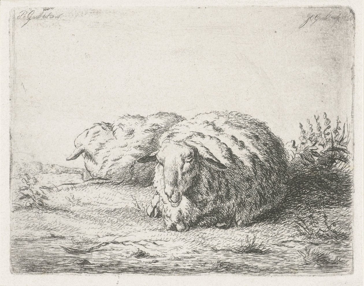 iki yalancı koyun by Jacobus Cornelis Gaal