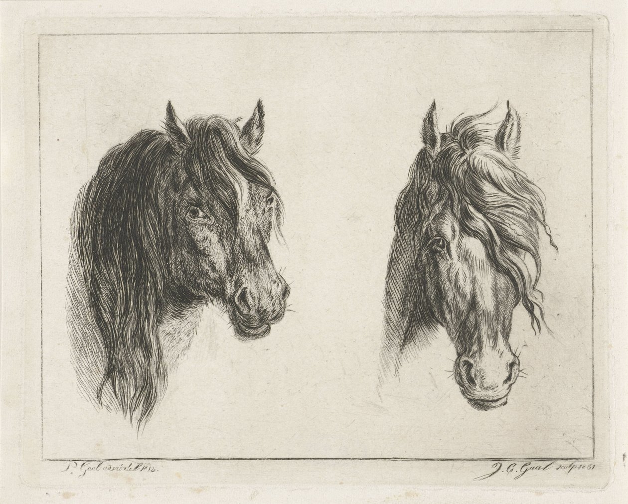 iki at başı by Jacobus Cornelis Gaal