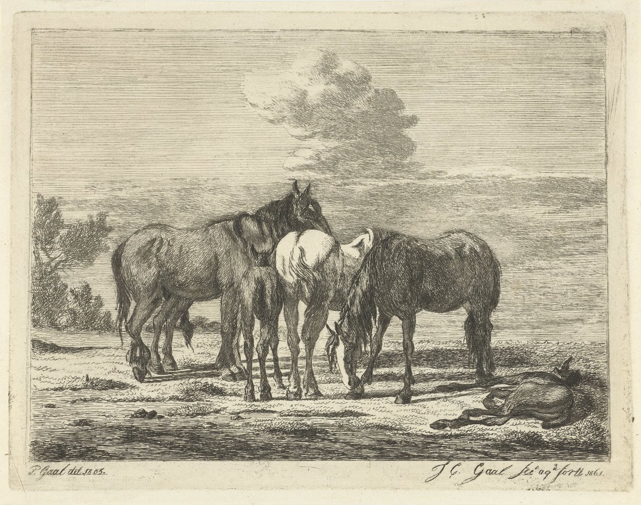 Dört at ve iki tay by Jacobus Cornelis Gaal
