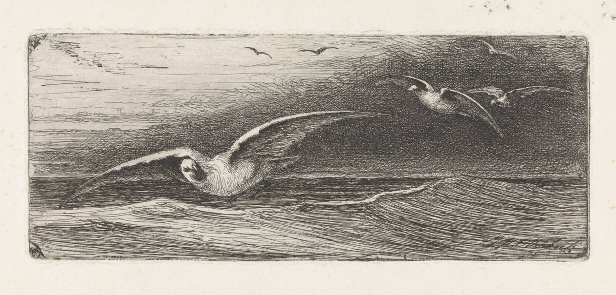 martılar by Jacobus Hermanus Otterbeek