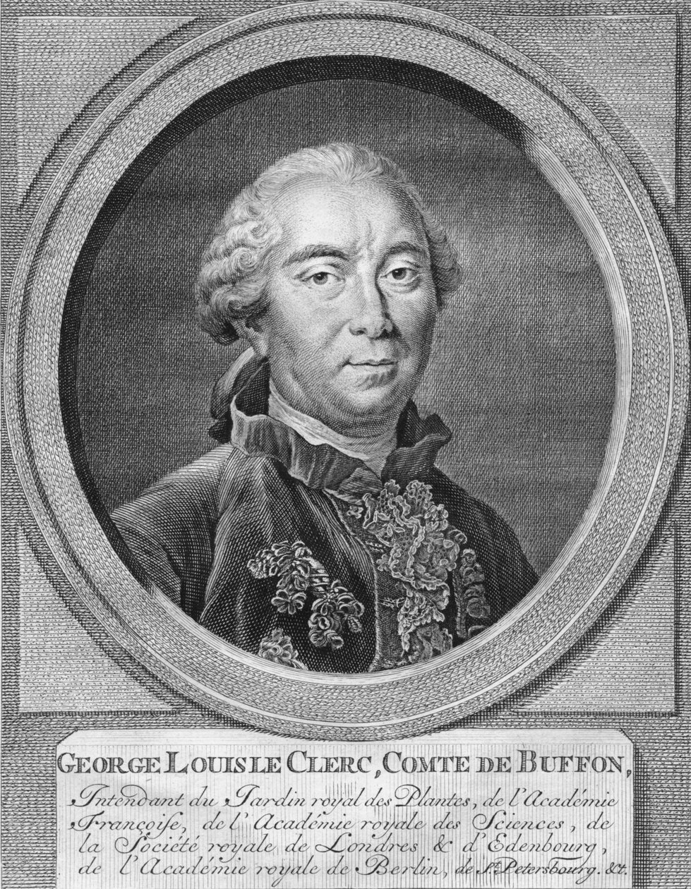 George Louis Le Clerc, Kont De Buffon, 1774. by Jacobus Houbraken