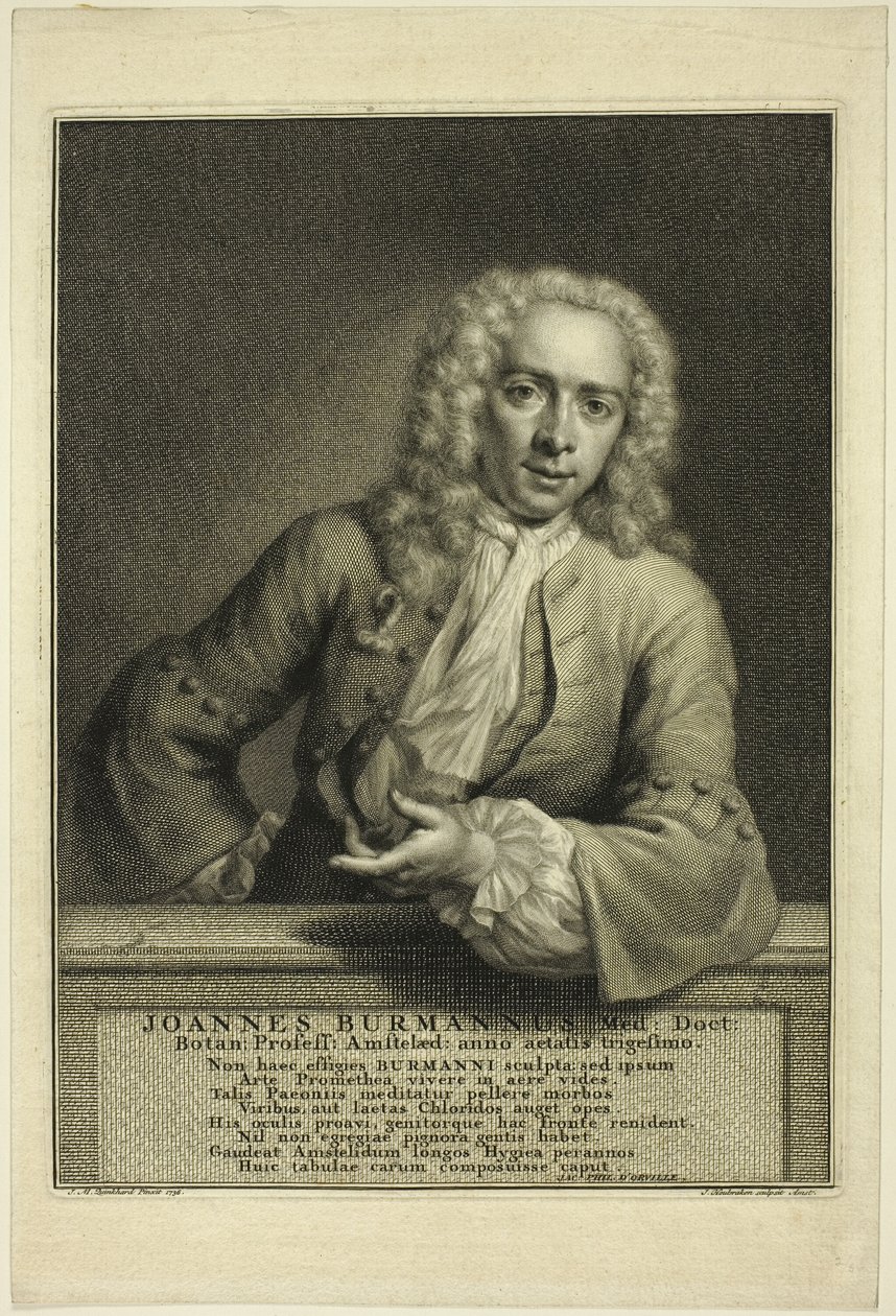  by Jacobus Houbraken