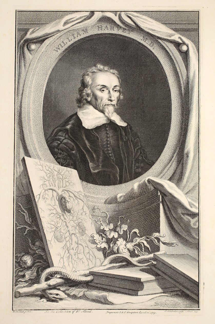 William Harvey