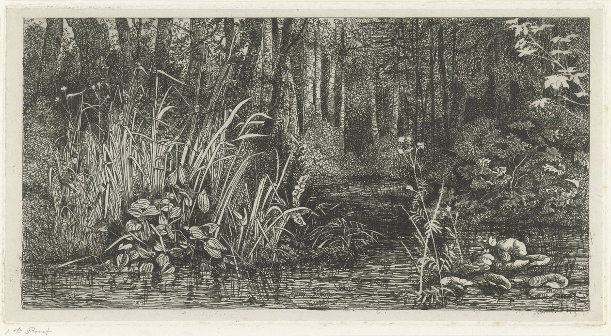 Bosbeekje by Jacobus Ludovicus Cornet
