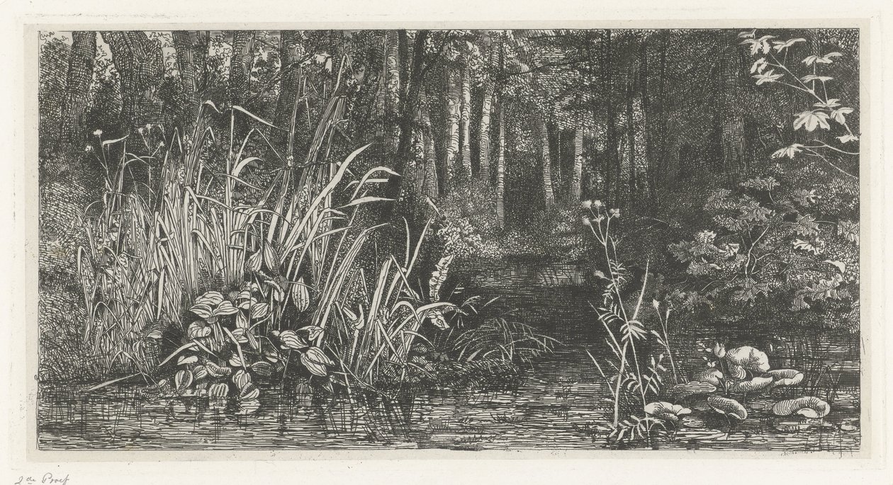 Bosbeekje by Jacobus Ludovicus Cornet