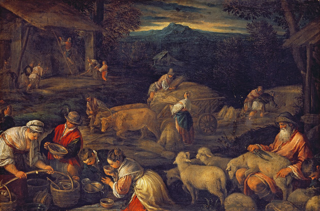 Farm Interior or Shearing Sheep  by Jacopo Bassano