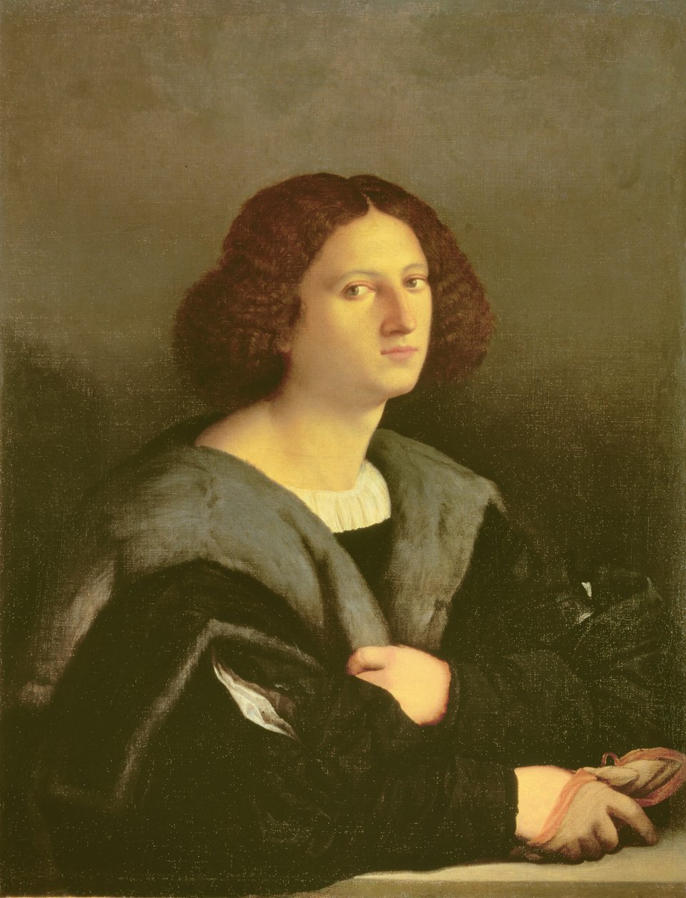 Portrait of a Man  by Jacopo Palma