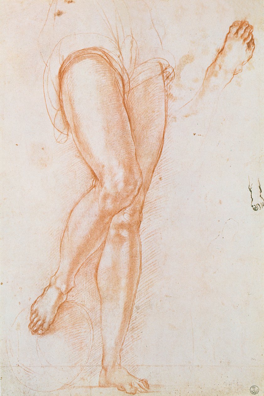 Aziz Michael figürü için bir çift bacak ve iki ayak çalışması (kalem ve mürekkeple kırmızı tebeşir) by Jacopo Pontormo
