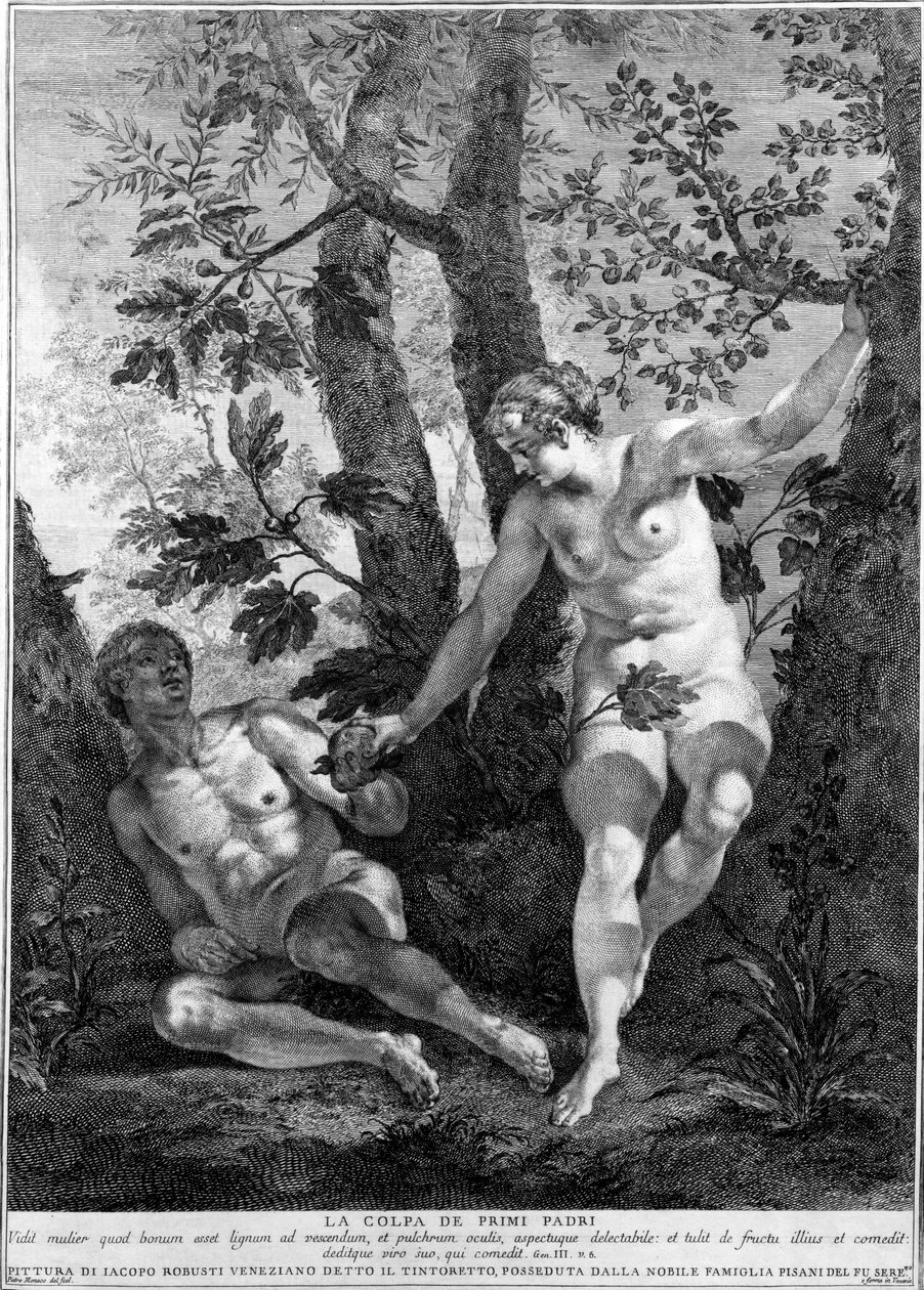 Adem ve Havva, Pietro Monaco tarafından oyulmuş, c.1741-52 by Jacopo Robusti Tintoretto