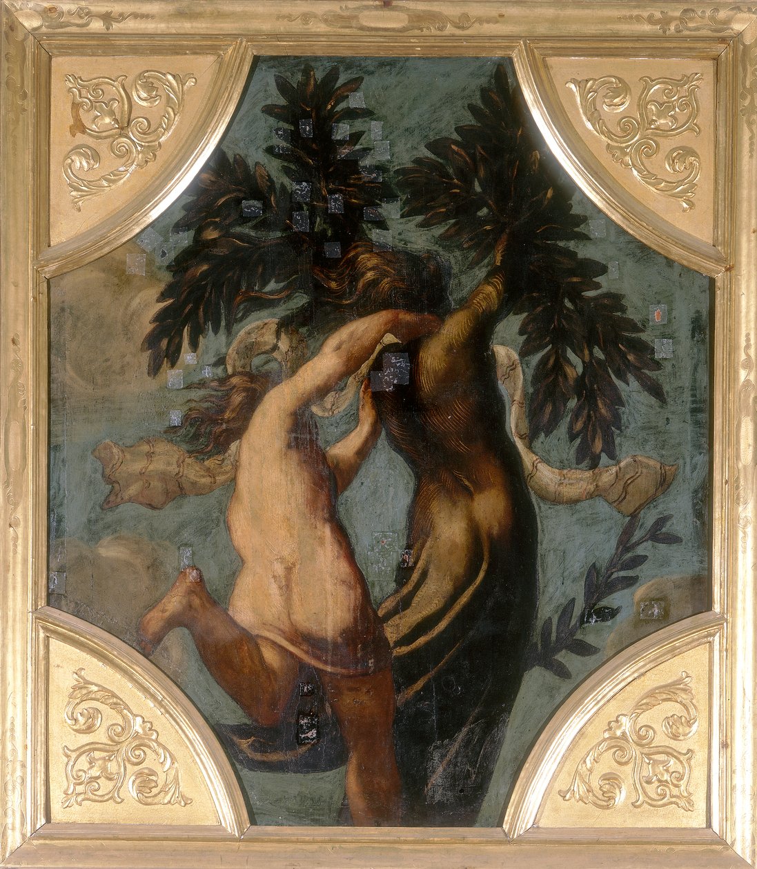 Apollo and Daphne, octagon by Jacopo Robusti Tintoretto