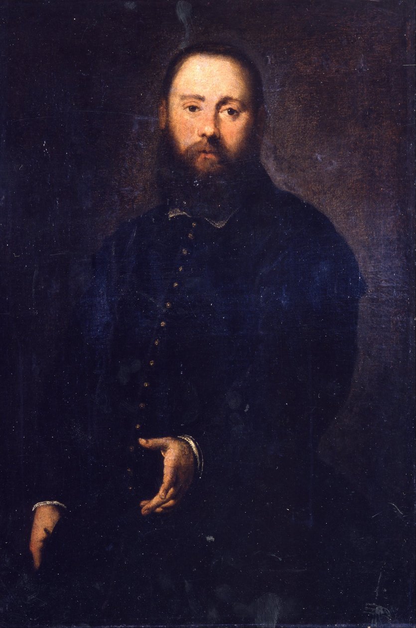 Bir Beyefendinin Portresi by Jacopo Robusti Tintoretto