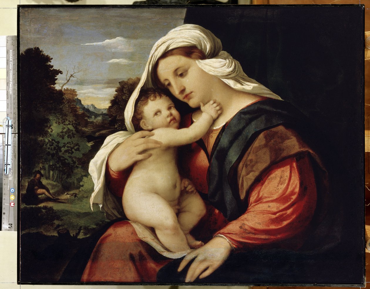Bakire ve Çocuk. Jacopo Palma il Vecchio