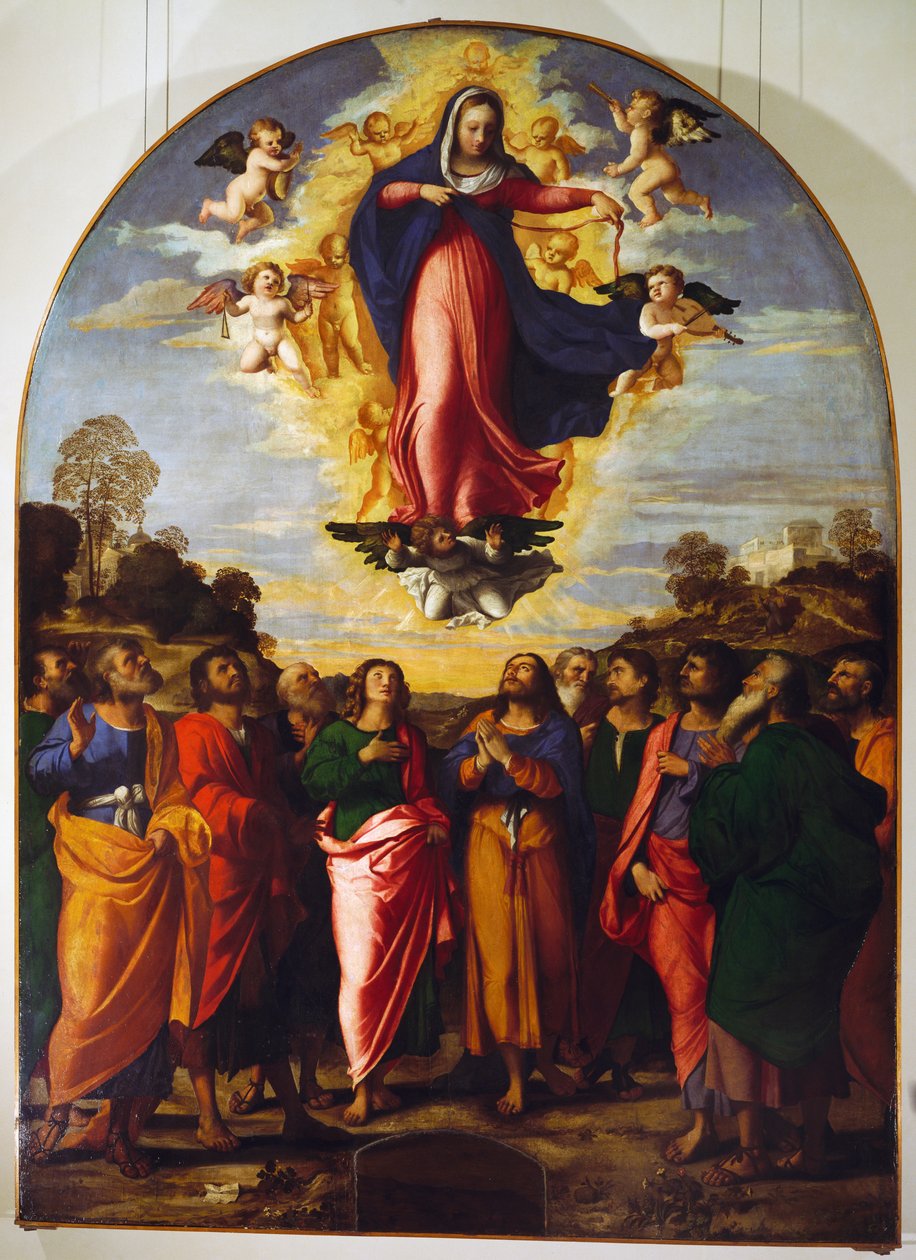Bakire Varsayımı by Jacopo (c.1480 1528) Palma