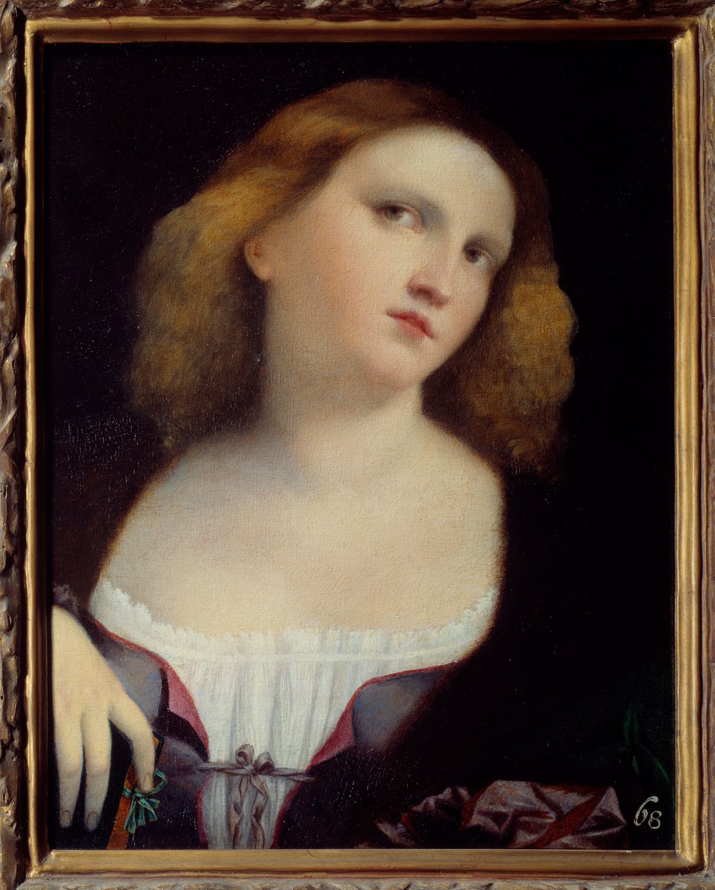 Tuval üzerine transpoze edilmiş Kadın Portresi Resim Jacopo Palma il Vecchio (1480-1528) 1513 Dim. 0,48 x 0,38 m Lyon, Musee des Beaux Arts by Jacopo (c.1480 1528) Palma