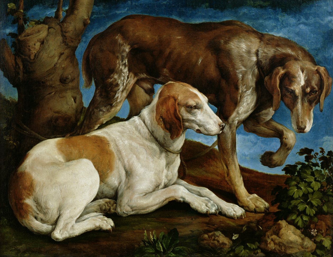 Bir Ağaç Kütüğüne Bağlanmış İki Av Köpeği, c.1548-50 by Jacopo Bassano