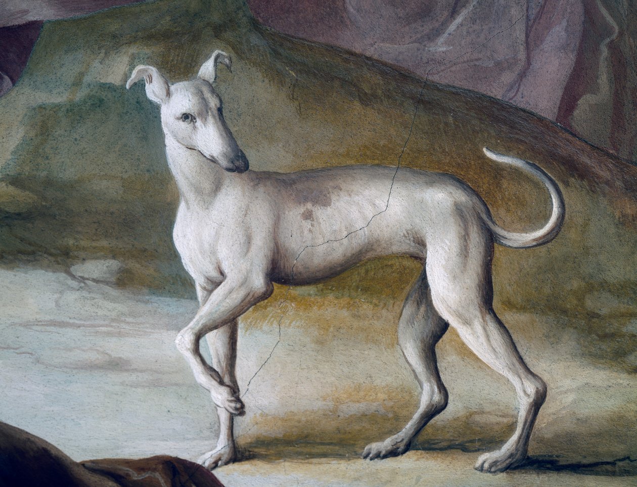 Köpek, Jacopo Guarana (1720-1808), Villa Contarini