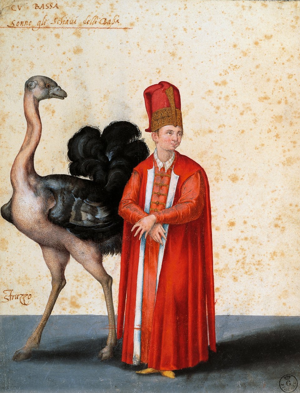 Devekuşu ile Köle, çizimi Jacopo Ligozzi (1547-1627) by Jacopo Ligozzi