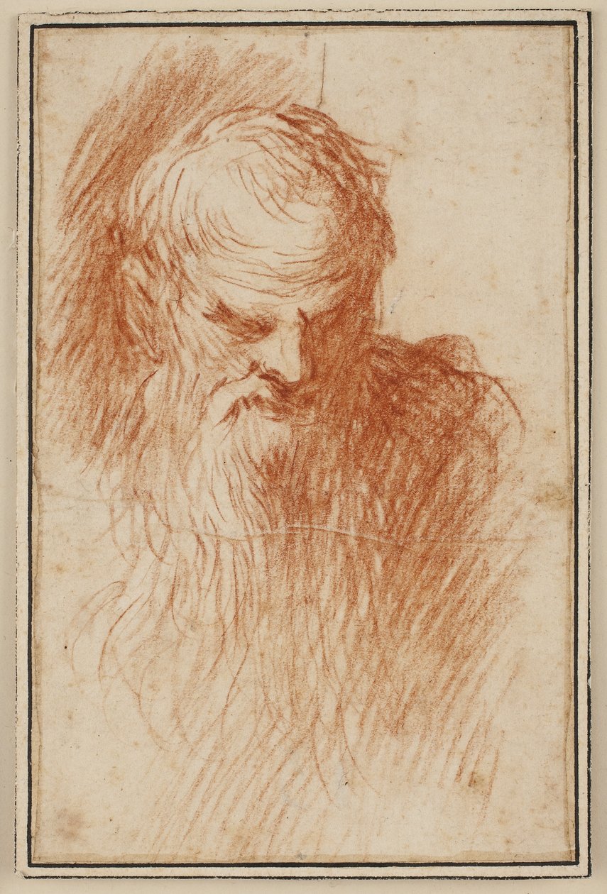 Sakallı bir adamın başı by Jacopo Palma