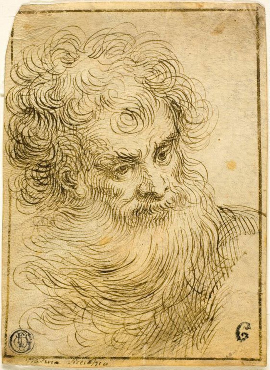Sakallı Yaşlı Adamın Başı (rekto); Çiçek ve Yaprakların Dekoratif Çizimi (verso) by Jacopo Palma il Giovane