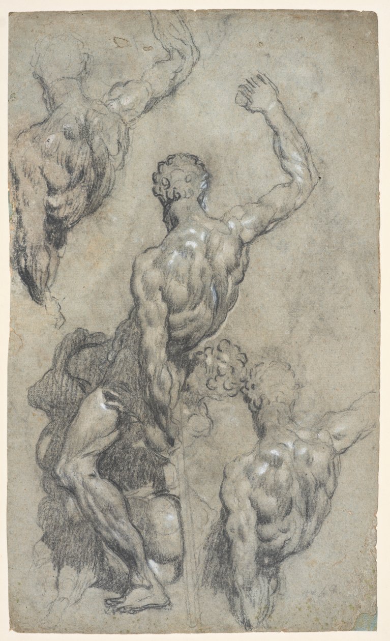 Michelangelo'nun "Samson and the Philistines" çalışması, c.1575–85 (tebeşir, karakalem, guaş, kağıt) by Jacopo Robusti (workshop of) Tintoretto