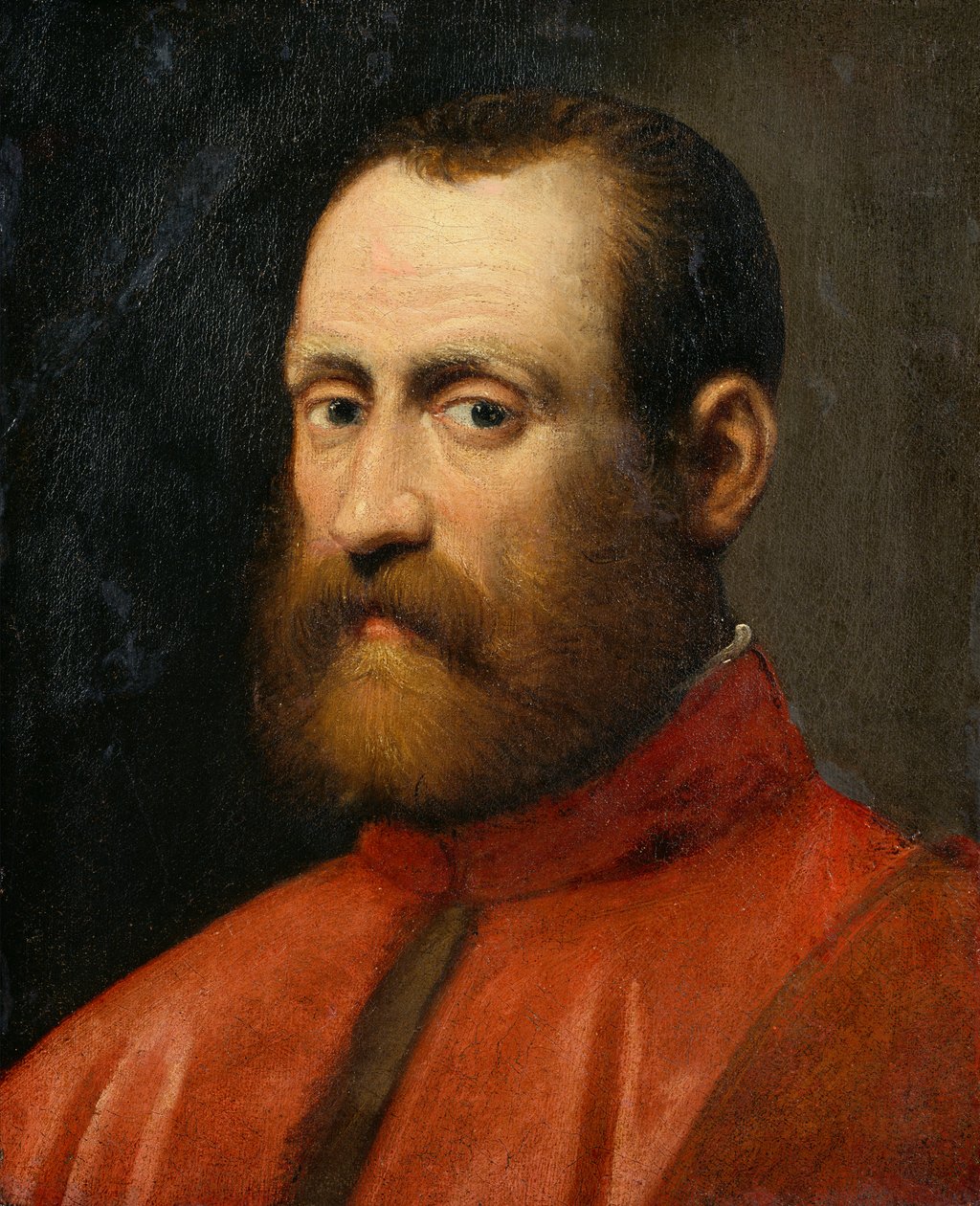 Bir Savcının Portresi (tuval üzerine yağlı boya) by Jacopo Robusti Tintoretto