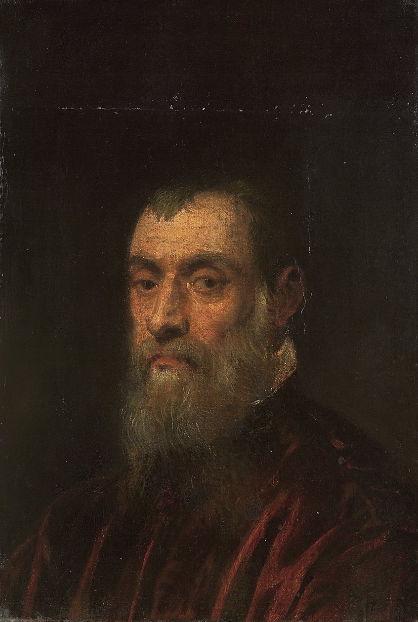 Sakallı bir adamın portresi, büstü boyu, kırmızı elbiseli by Jacopo Robusti Tintoretto