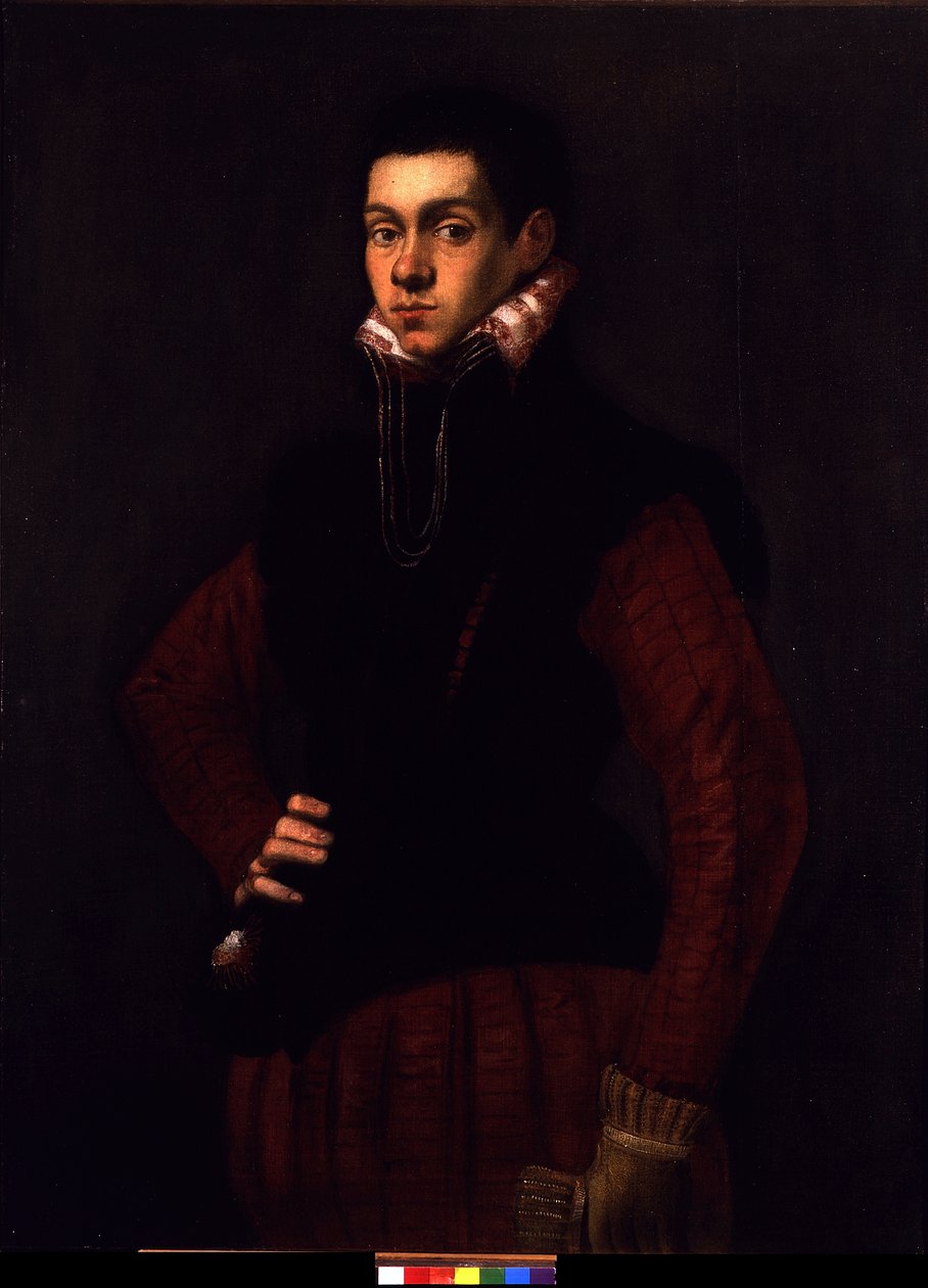 Genç bir adamın portresi, c.1565 (tuval üzerine yağlı boya) by Jacopo Robusti Tintoretto