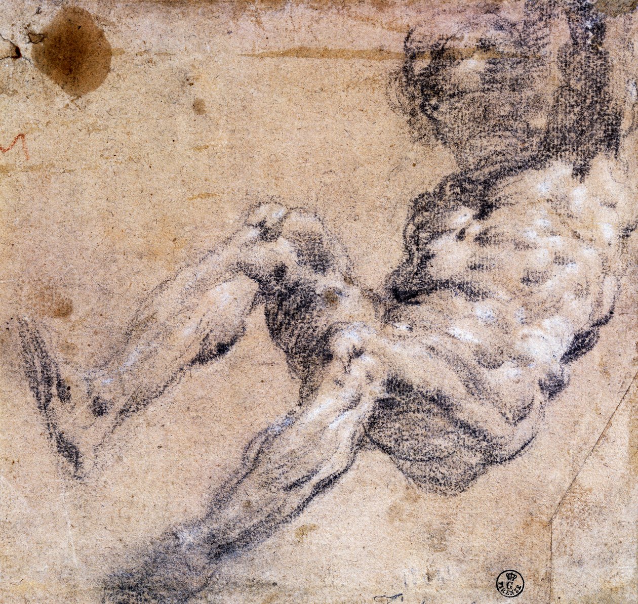 erkek çıplak çalışma by Jacopo Robusti Tintoretto