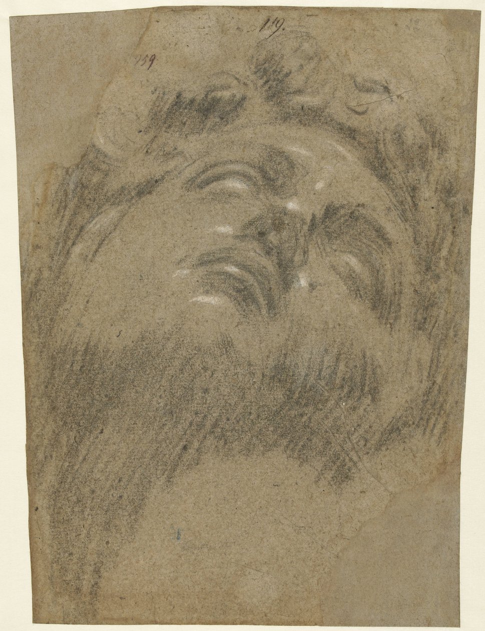 Giuliano dei Medici'nin Başkanı by Jacopo Tintoretto