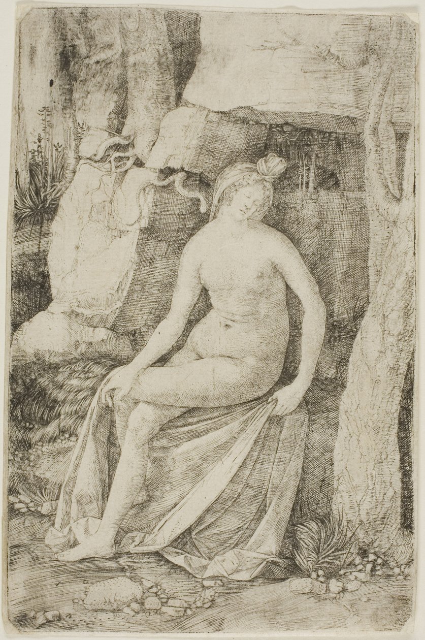  by Jacopo de