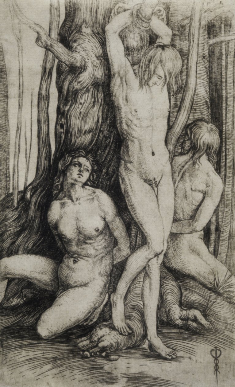  by Jacopo de