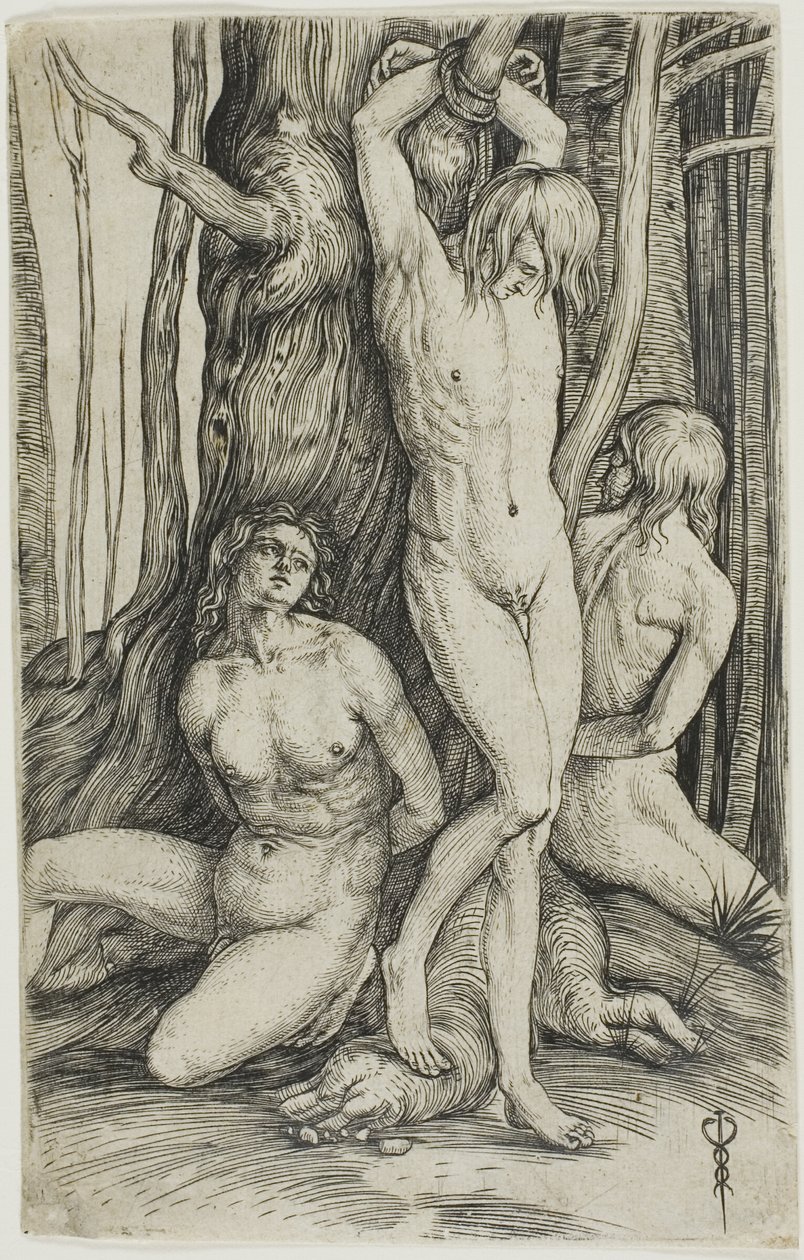  by Jacopo de