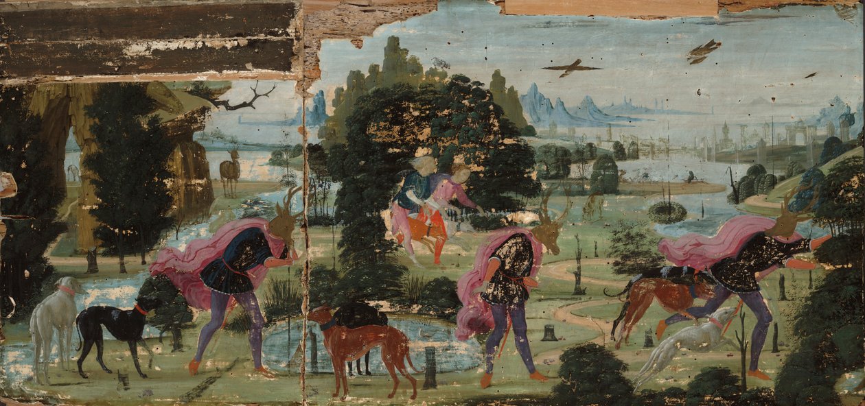 Actaeon Geyik