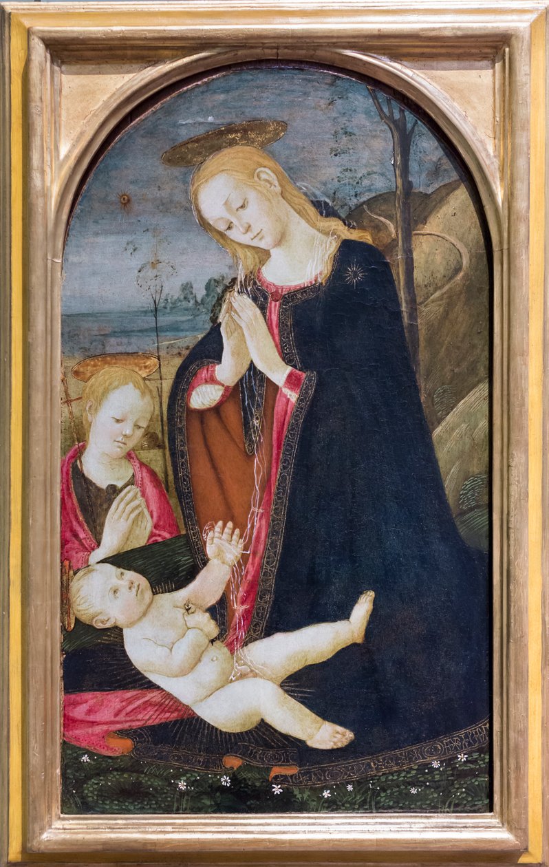 Genç Aziz Vaftizci Yahya ile Mesih'in hayranlığı by Jacopo del Sellaio