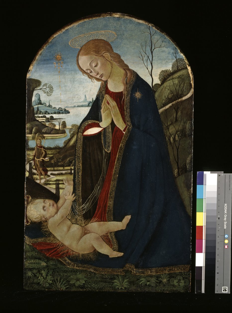 Madonna Çocuk İsa'yı Seviyor (ahşap üzerine yağlıboya) by Jacopo del Sellaio